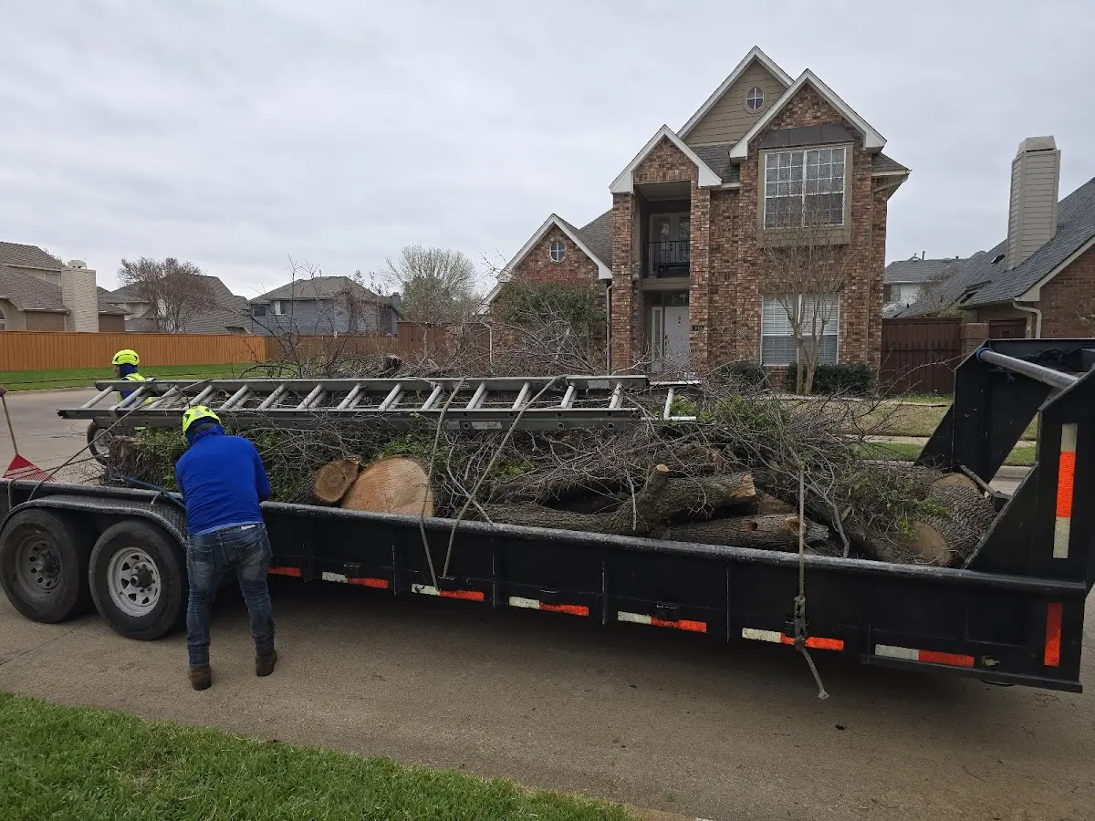 Expert Tree Removal with proper safety equipment in Union Point